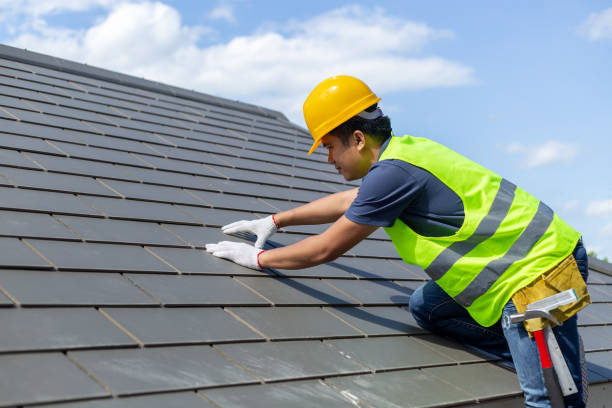 Best Roof Maintenance Services  in Denmark, WI