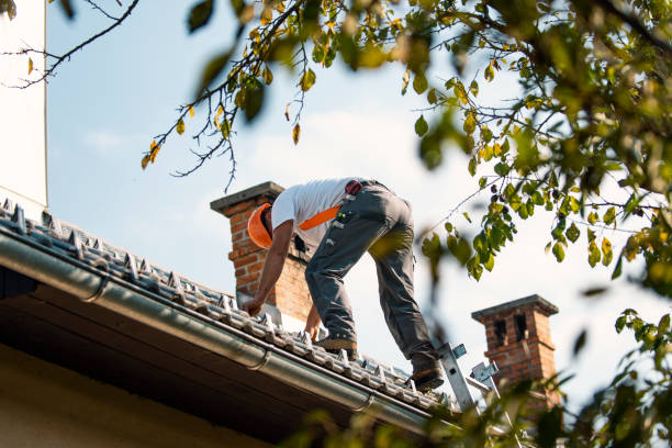 Best Roof Replacement Cost  in Denmark, WI