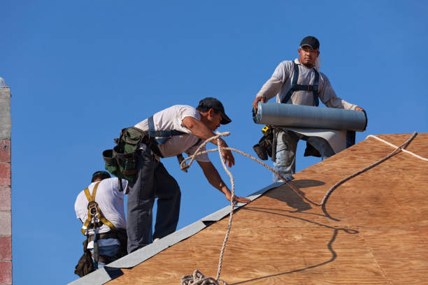 Best Storm Damage Roof Repair  in Denmark, WI