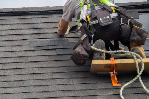 Best Roof Gutter Cleaning  in Denmark, WI